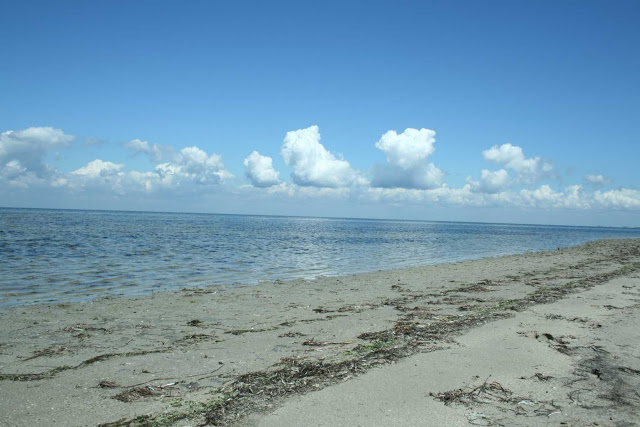 Морське узбережжя